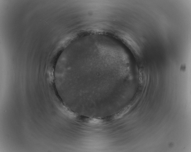 X0000097670718200803142154