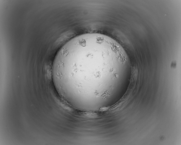 X0000097670719200803142154