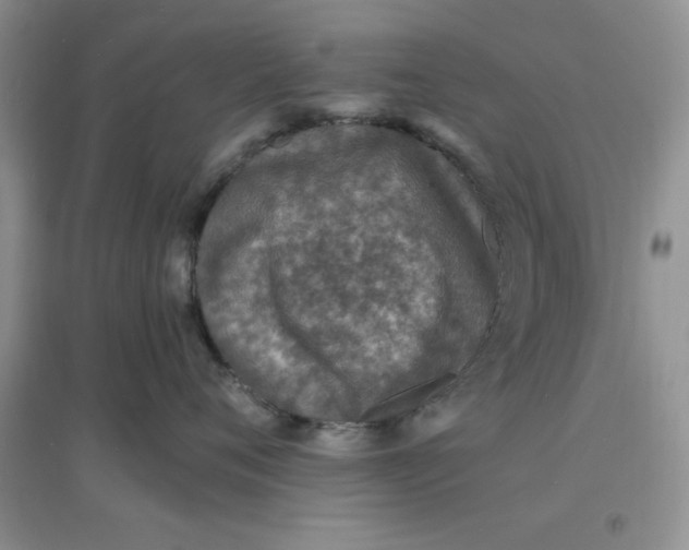 X0000097670720200803142154