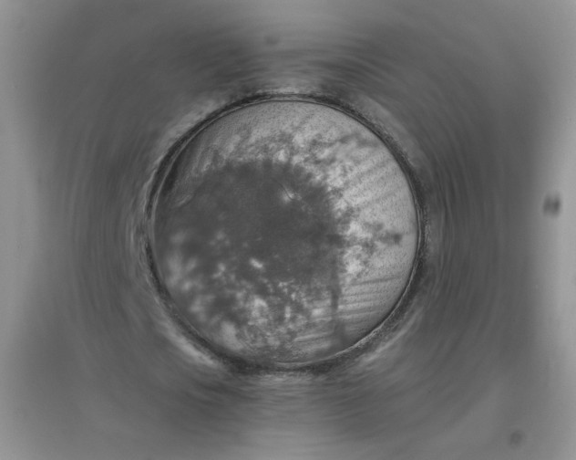 X0000097670721200803142154