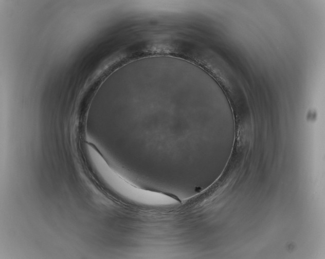 X0000097670722200803142154