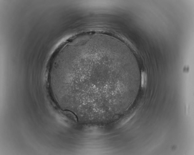 X0000097670723200803142154