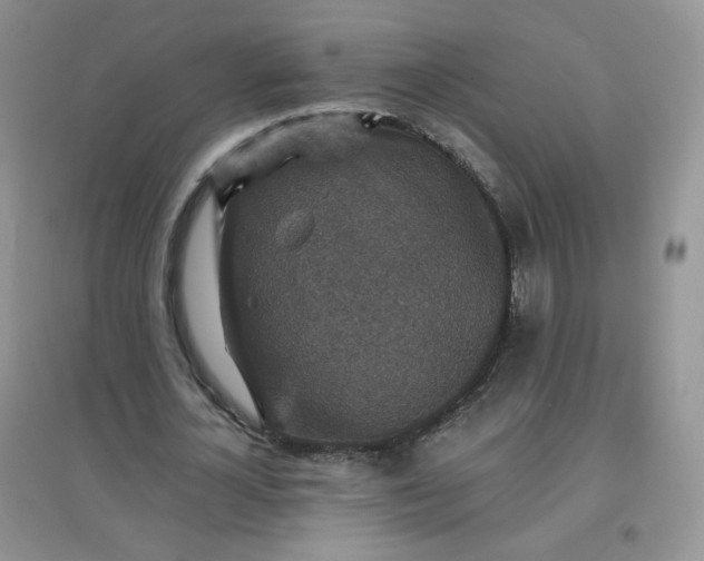 X0000097670724200803142154