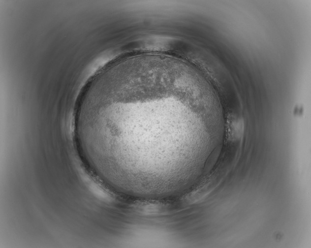 X0000097670726200803142154
