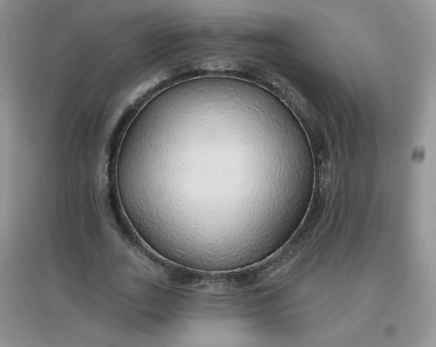 X0000097670727200803142154