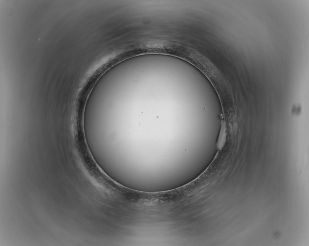 X0000097670728200803142154