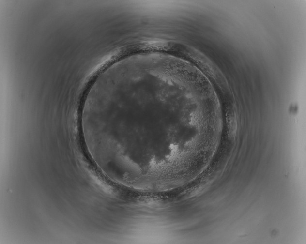 X0000097670729200803142154