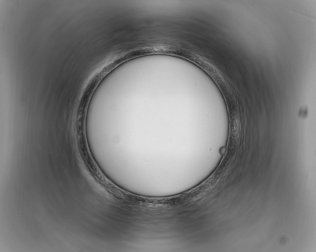 X0000097670730200803142154