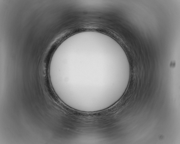 X0000097670731200803142154