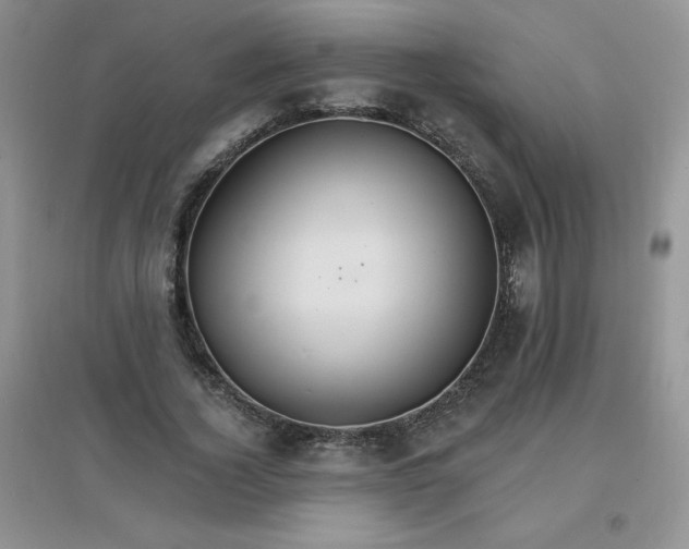 X0000097670732200803142154