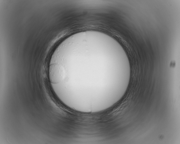 X0000097670734200803142154