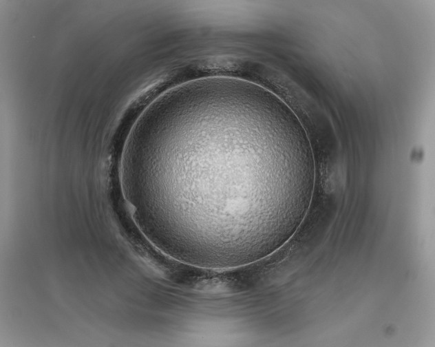 X0000097670735200803142154