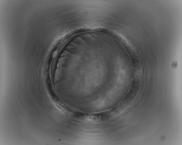 X0000097670736200803142154