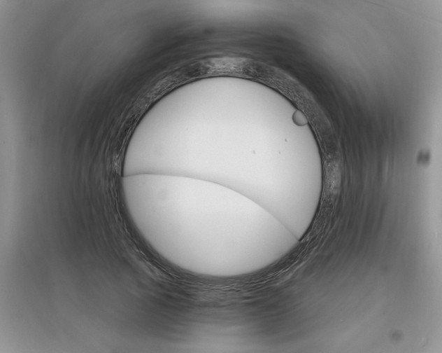 X0000097670737200803142154
