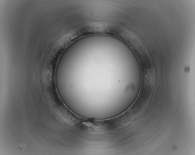 X0000097670739200803142154