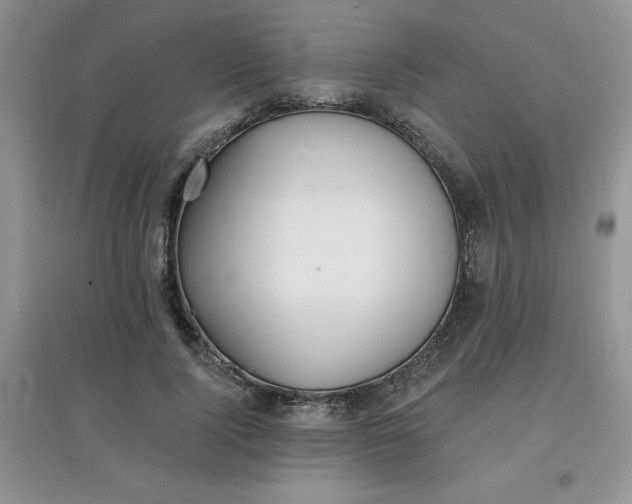 X0000097670740200803142154