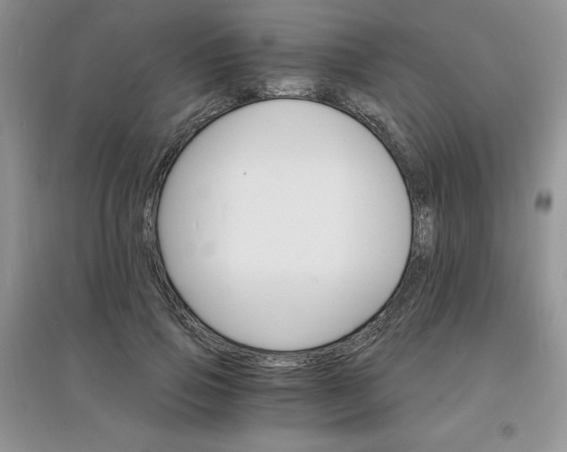 X0000097670741200803142154