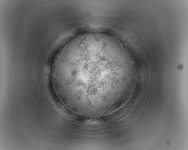 X0000097670742200803142154