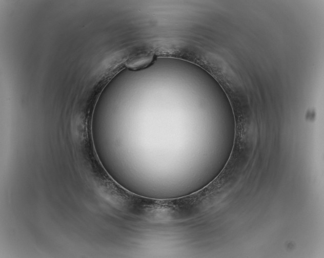 X0000097670743200803142154