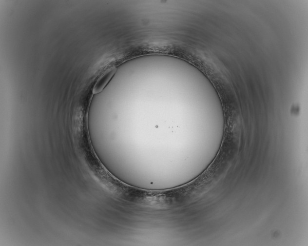 X0000097670744200803142154