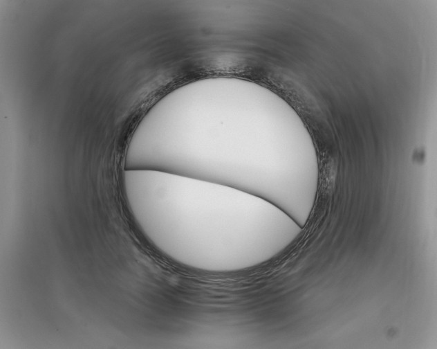 X0000097670746200803142154
