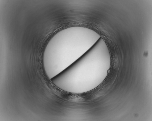 X0000097670747200803142154