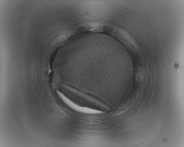X0000097670748200803142154