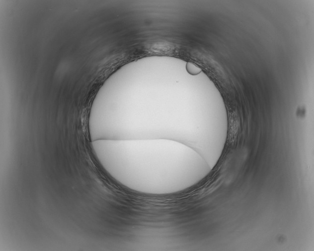 X0000097670749200803142154