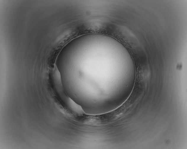 X0000097670750200803142154