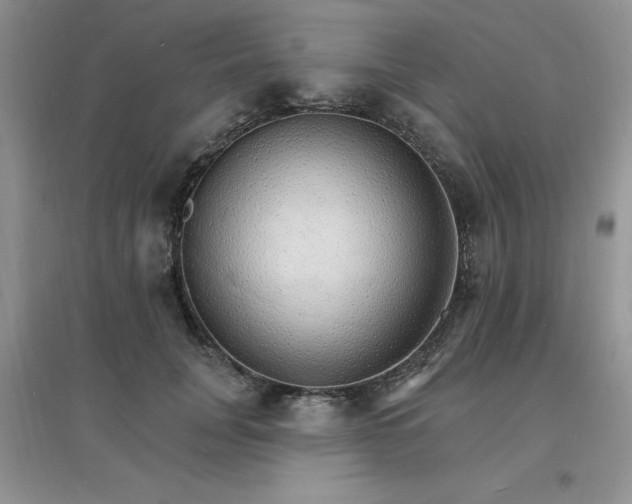 X0000097670751200803142154