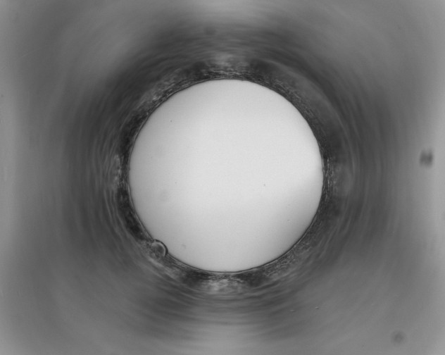 X0000097670752200803142154