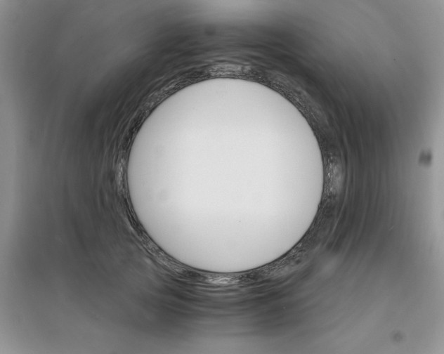 X0000097670753200803142154
