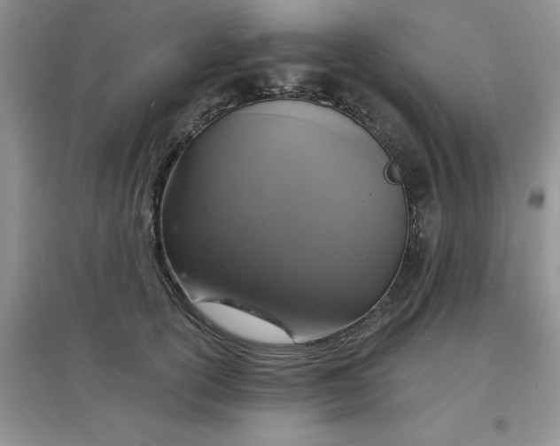 X0000097670754200803142154