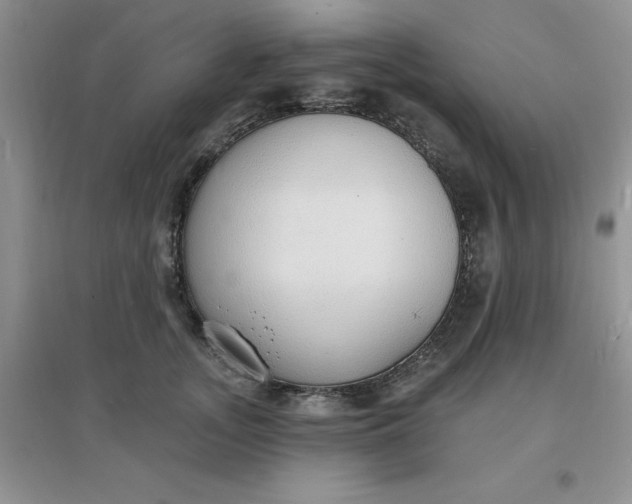 X0000097670755200803142154
