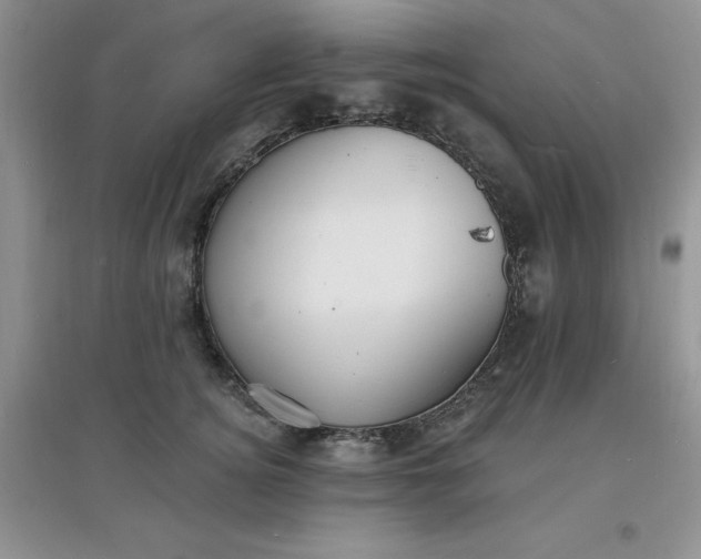 X0000097670756200803142154