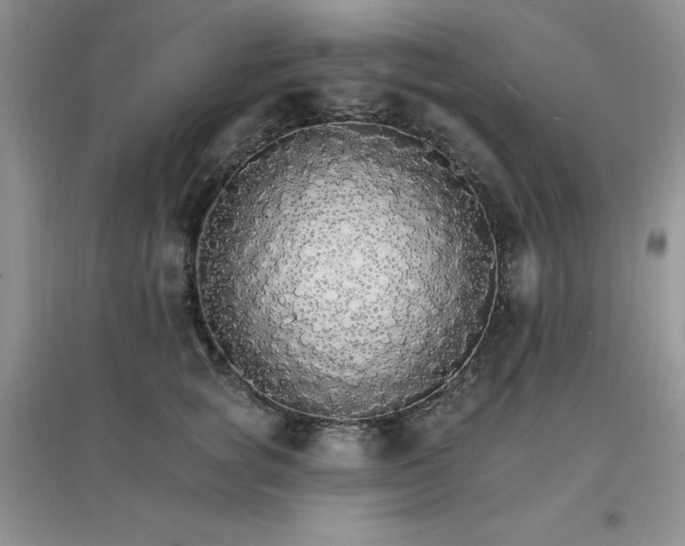 X0000097670757200803142154