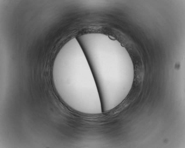 X0000097670758200803142154