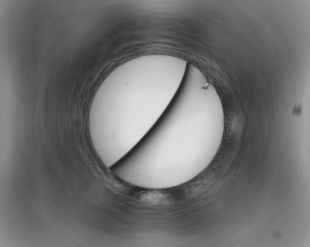 X0000097670759200803142154