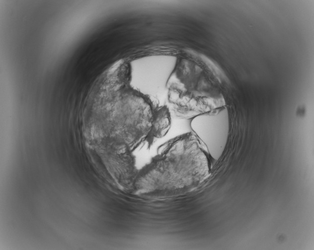 X0000097670761200803142154