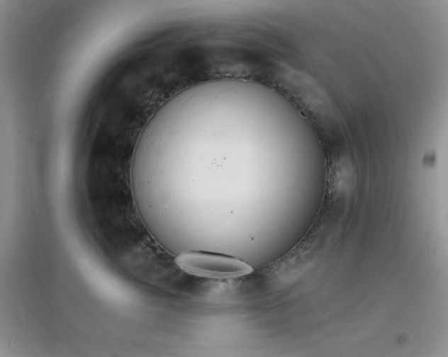 X0000097670764200803142154