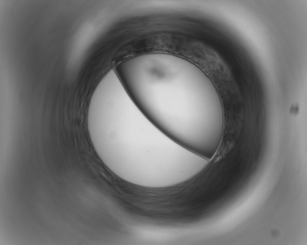 X0000097670766200803142154