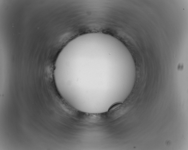 X0000097670768200803142154