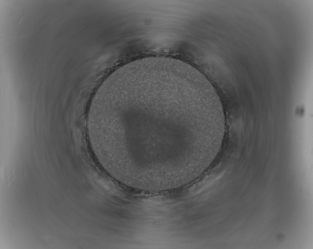 X0000097670769200803142154