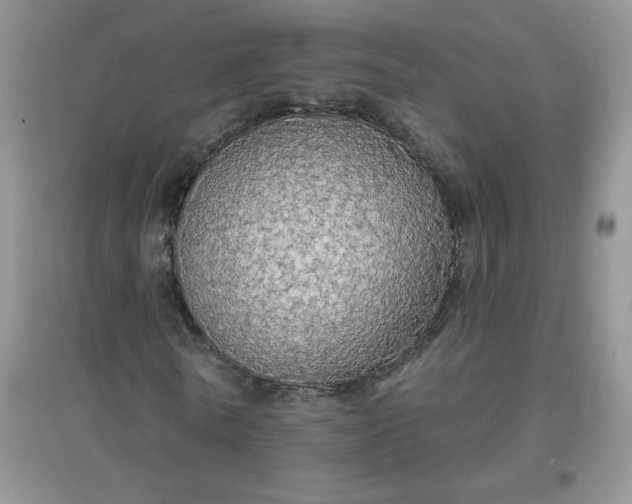 X0000097670770200803142154