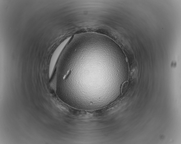 X0000097670772200803142154