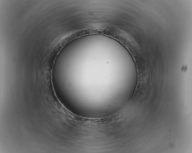 X0000097670773200803142154