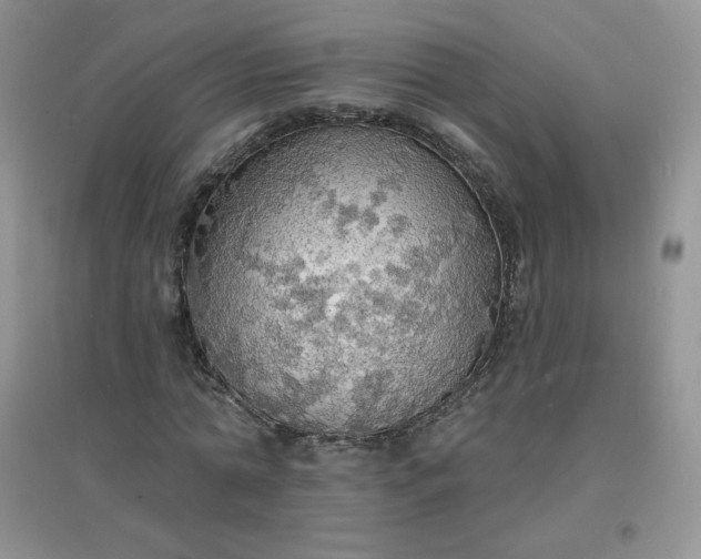 X0000097670774200803142154