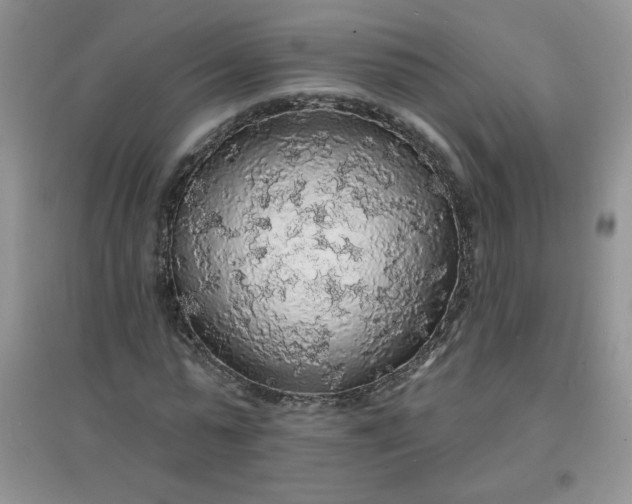 X0000097670775200803142154