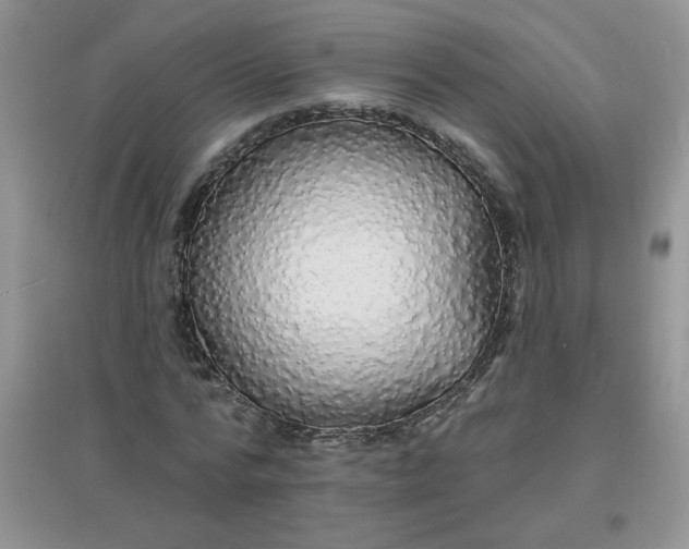 X0000097670776200803142154