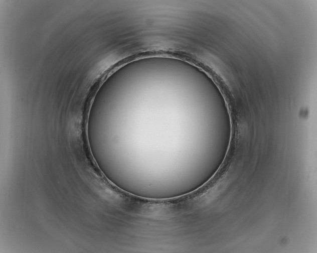 X0000097670778200803142154